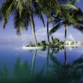 Бассейн Amilla Fushi 5 *