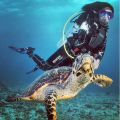 Подводный мир Amilla Fushi